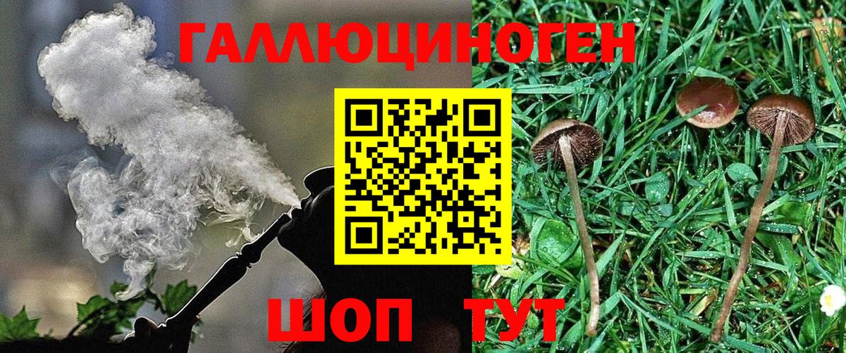 Назрань  Псилоцибиновые грибы Psilocybe  Вход с VPN 