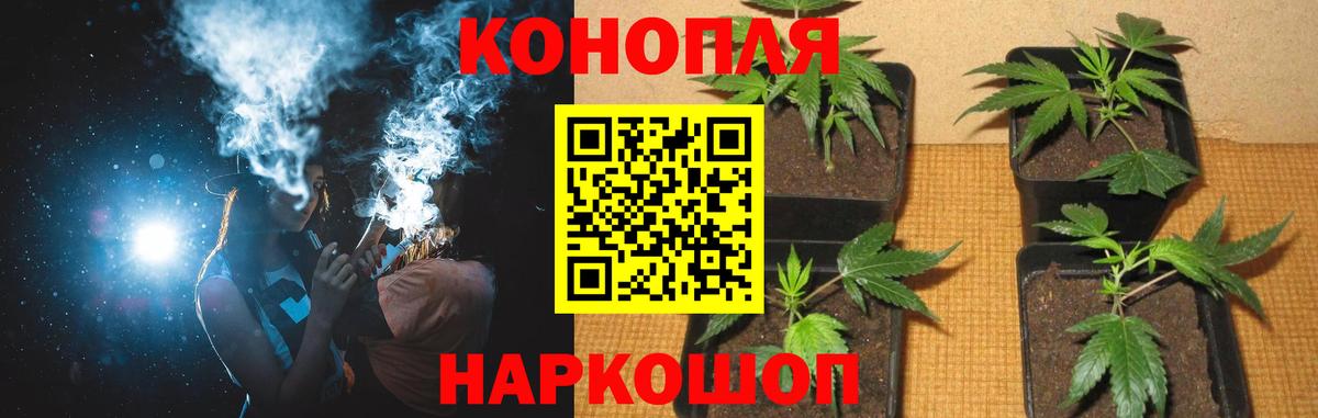Марихуана ГИДРОПОН Назрань